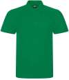 RX101 Pro Rtx Polo Kelly Green colour image